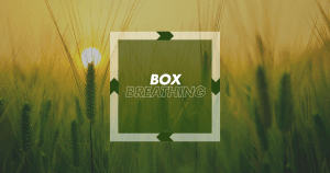 Box Breathing Featured Image