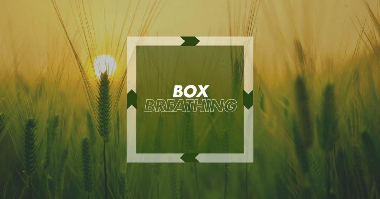 Box Breathing Featured Image